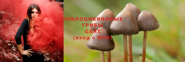 героин Алексин
