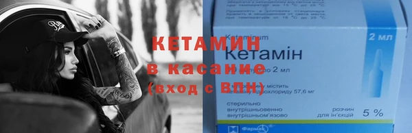 трава Няндома
