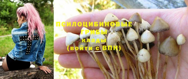молекула духа Нягань